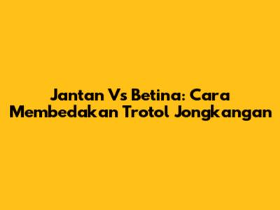 Jantan Vs Betina: Cara Membedakan Trotol Jongkangan