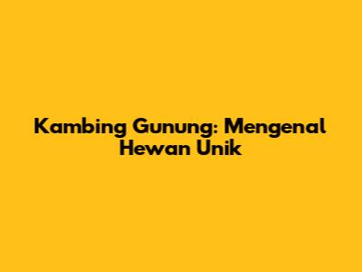 Kambing Gunung: Mengenal Hewan Unik