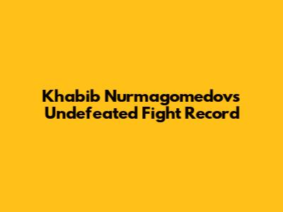 Khabib Nurmagomedov's Undefeated Fight Record