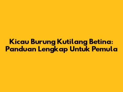Kicau Burung Kutilang Betina: Panduan Lengkap Untuk Pemula