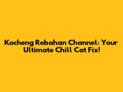 Kocheng Rebahan Channel: Your Ultimate Chill Cat Fix!