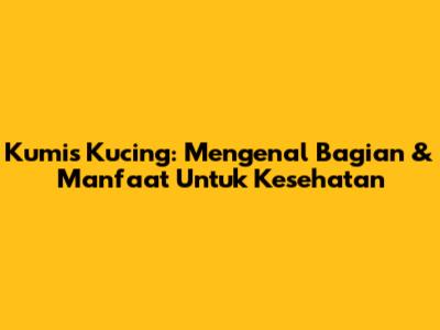 Kumis Kucing: Mengenal Bagian & Manfaat Untuk Kesehatan