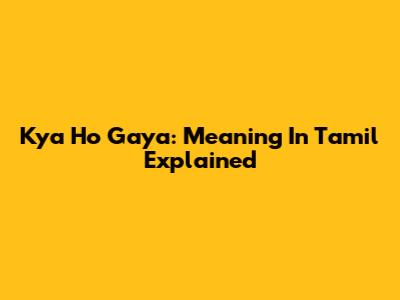 Kya Ho Gaya: Meaning In Tamil Explained