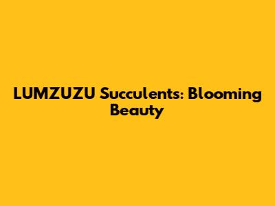 LUMZUZU Succulents: Blooming Beauty