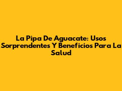 La Pipa De Aguacate: Usos Sorprendentes Y Beneficios Para La Salud