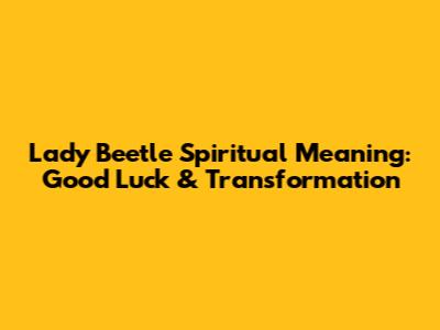 Lady Beetle Spiritual Meaning: Good Luck & Transformation
