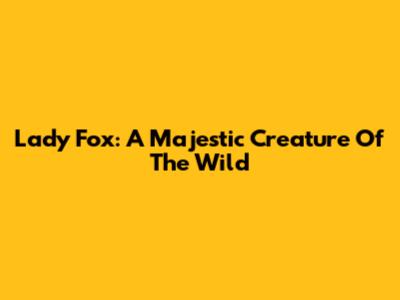 Lady Fox: A Majestic Creature Of The Wild
