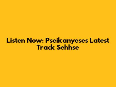 Listen Now: Pseikanyese's Latest Track 'Sehhse'