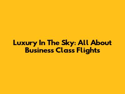 Luxury In The Sky: All About Business Class Flights