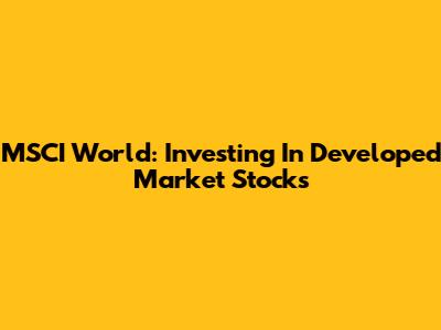 MSCI World: Investing In Developed Market Stocks