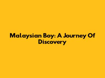 Malaysian Boy: A Journey Of Discovery