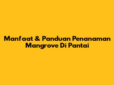 Manfaat & Panduan Penanaman Mangrove Di Pantai