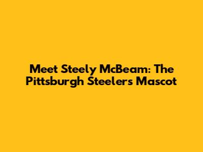 Meet Steely McBeam: The Pittsburgh Steelers Mascot