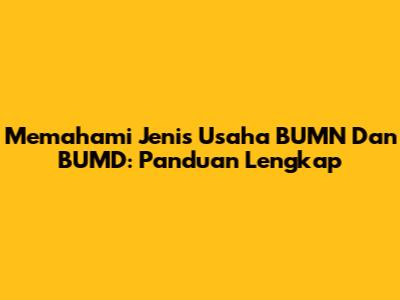 Memahami Jenis Usaha BUMN Dan BUMD: Panduan Lengkap