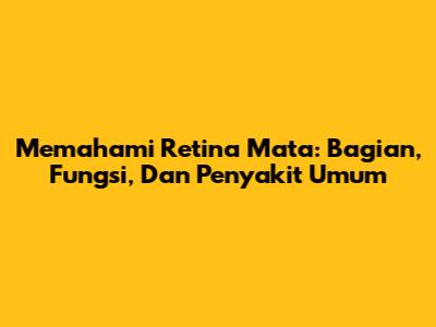 Memahami Retina Mata: Bagian, Fungsi, Dan Penyakit Umum