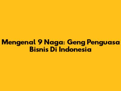 Mengenal 9 Naga: Geng Penguasa Bisnis Di Indonesia