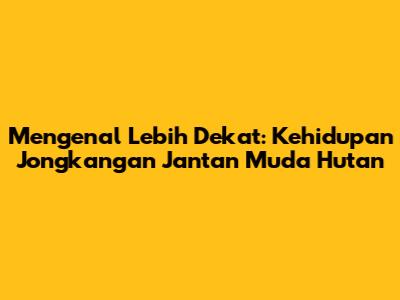 Mengenal Lebih Dekat: Kehidupan Jongkangan Jantan Muda Hutan