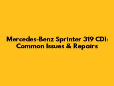 Mercedes-Benz Sprinter 319 CDI: Common Issues & Repairs