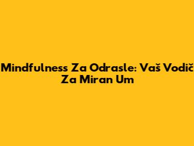 Mindfulness Za Odrasle: Vaš Vodič Za Miran Um