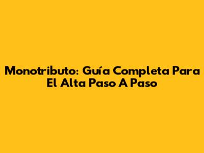Monotributo: Guía Completa Para El Alta Paso A Paso