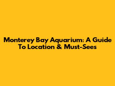 Monterey Bay Aquarium: A Guide To Location & Must-Sees