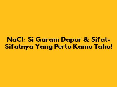 NaCl: Si Garam Dapur & Sifat-Sifatnya Yang Perlu Kamu Tahu!