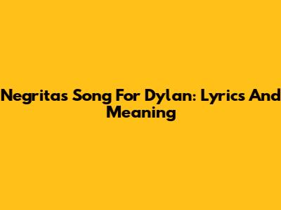 Negrita's Song For Dylan: Lyrics And Meaning