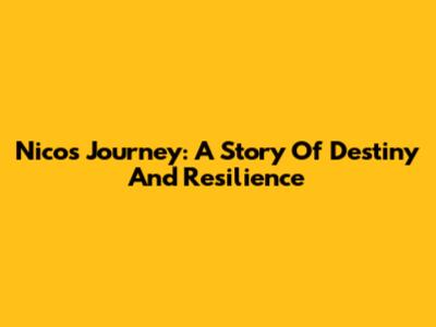 Nico's Journey: A Story Of Destiny And Resilience