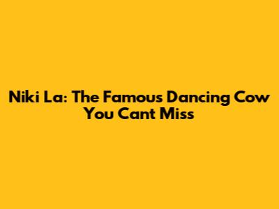 Niki La: The Famous Dancing Cow You Can't Miss