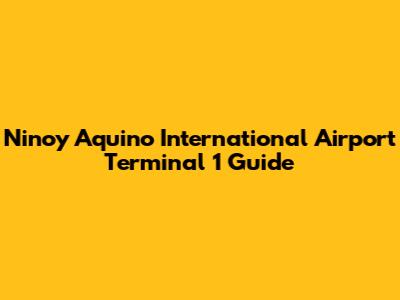 Ninoy Aquino International Airport Terminal 1 Guide