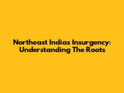 Northeast India's Insurgency: Understanding The Roots