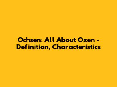 Ochsen: All About Oxen - Definition, Characteristics