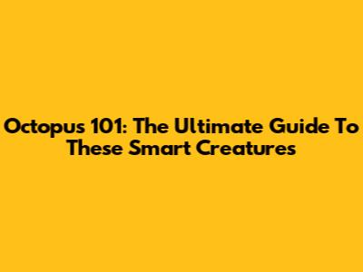 Octopus 101: The Ultimate Guide To These Smart Creatures