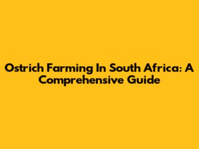 Ostrich Farming In South Africa: A Comprehensive Guide