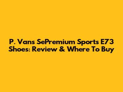 P. Vans SePremium Sports E73 Shoes: Review & Where To Buy