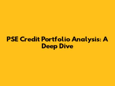 PSE Credit Portfolio Analysis: A Deep Dive