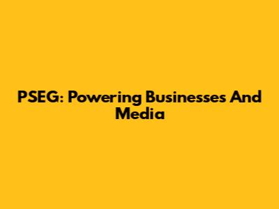 PSEG: Powering Businesses And Media