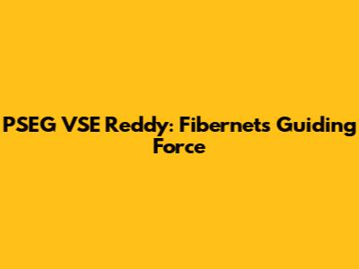 PSEG VSE Reddy: Fibernet's Guiding Force
