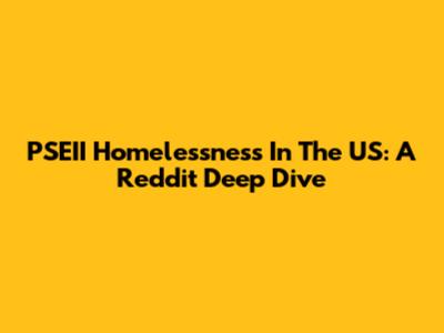 PSEII Homelessness In The US: A Reddit Deep Dive