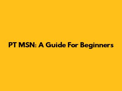 PT MSN: A Guide For Beginners