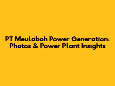 PT Meulaboh Power Generation: Photos & Power Plant Insights