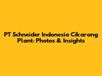 PT Schneider Indonesia Cikarang Plant: Photos & Insights