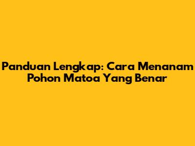 Panduan Lengkap: Cara Menanam Pohon Matoa Yang Benar