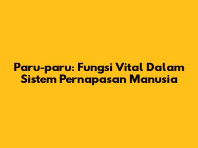 Paru-paru: Fungsi Vital Dalam Sistem Pernapasan Manusia