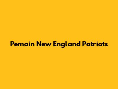 Pemain New England Patriots