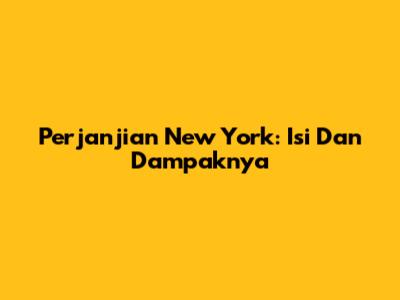 Perjanjian New York: Isi Dan Dampaknya