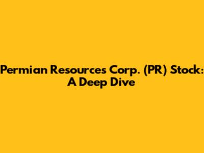 Permian Resources Corp. (PR) Stock: A Deep Dive