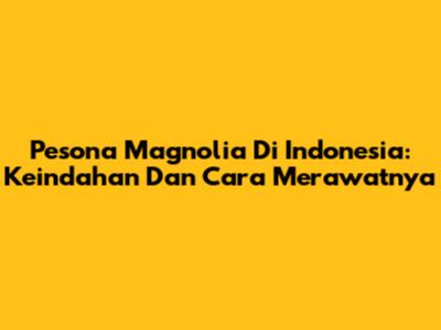 Pesona Magnolia Di Indonesia: Keindahan Dan Cara Merawatnya