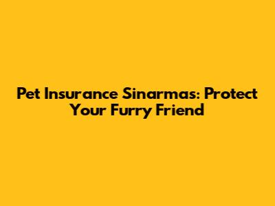 Pet Insurance Sinarmas: Protect Your Furry Friend