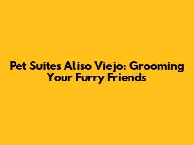 Pet Suites Aliso Viejo: Grooming Your Furry Friends
